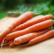 Carrot.jpg
