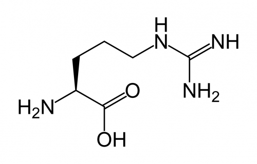 L-arginine.jpg