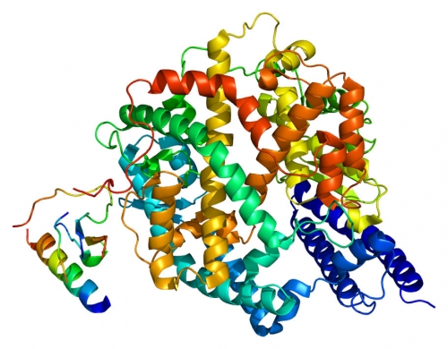 Oxidoreductases.jpg