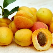 apricots.jpg