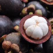 mangosteen.jpg